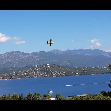 Vista D'oro